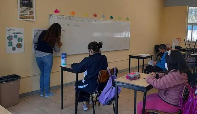 Según el INEGI, en México existen más de 1,2 millones de docentes y cerca del 70% son mujeres. Foto: AM Querétaro