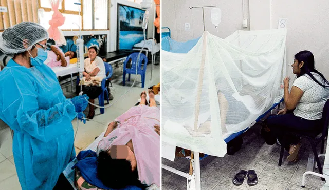 Las personas deben estar alertas a las señales de alarma del dengue para acudir a un centro de salud. Foto: composición LR/La República