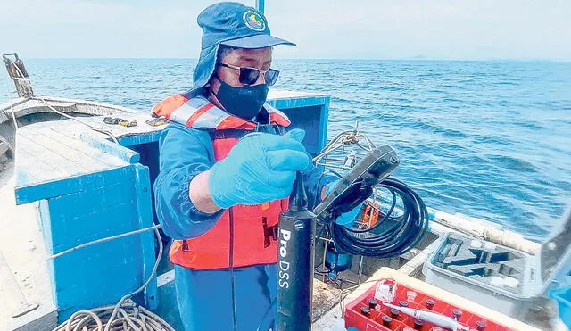 Monitoreo. Temperatura del mar peruano está 3 grados en promedio por encima de lo normal, en la zona norte y centro. Esto tras la llegada de ondas Kelvin. Foto: difusión