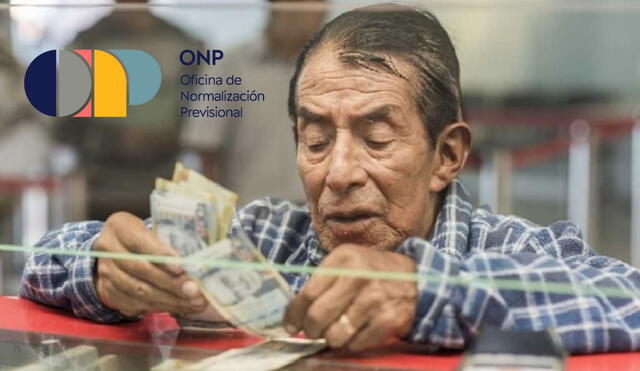 ONP ofrece beneficios a los afiliados para acceder a una pensión proporcional sin cumplir con 20 años de aporte.  Foto: Andina