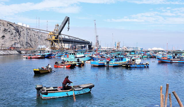 Embarcaciones pesqueras de hasta 6.48 de arqueo bruto podrán concretar su proceso de formalización. Foto: Produce