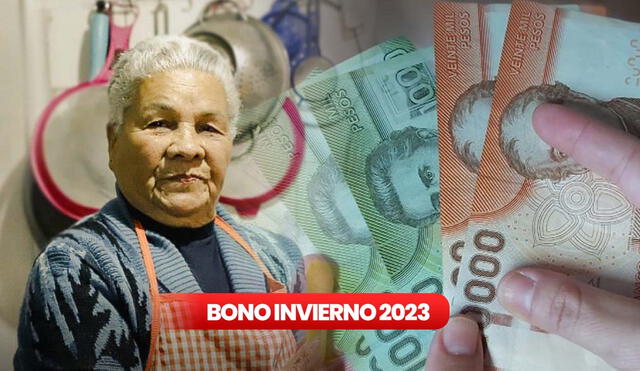 Con el Bono Invierno los beneficiarios recibirán un monto único de $74.767. Foto: Gobierno de Chile/composición LR
