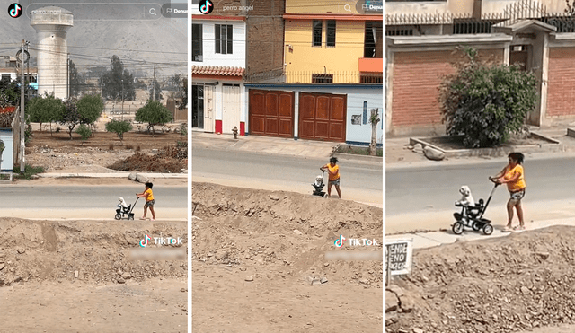 Las imágenes de la mascota paseando en coche conmovieron a miles en redes. Foto: Composición de LR/TikTok/@Cindyrojas458