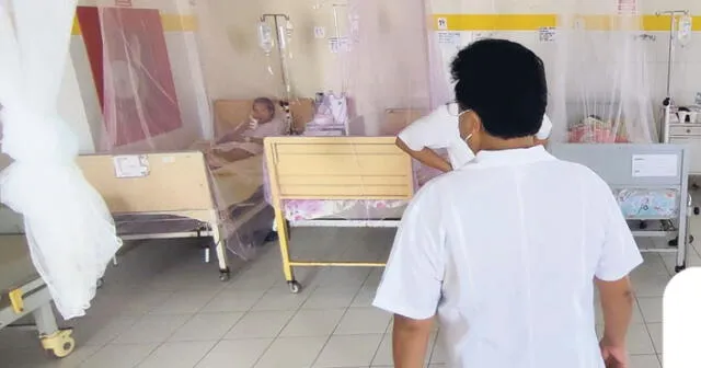 Falta más preparación. El personal de salud no está bien preparado en Ica, por eso los pacientes llegan con cuadros graves de dengue. Hace falta capacitación. Foto: difusión