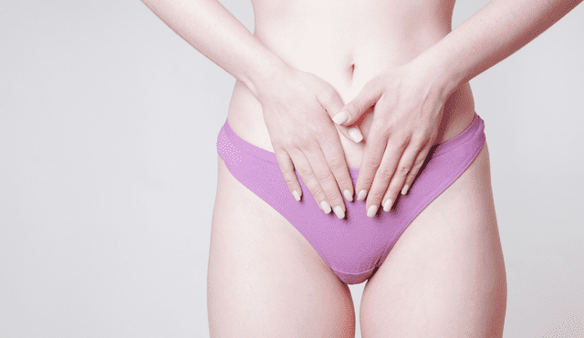 Todo lo que tienes que saber sobre la vulva