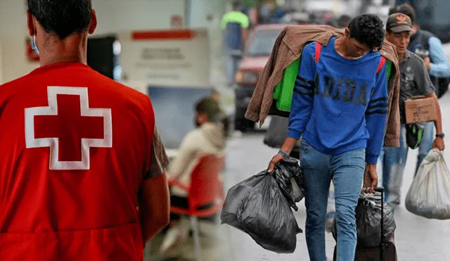 Descubre AQUÍ cómo ayuda la Cruz Roja Española a los migrantes venezolanos. Foto: composición LR/Europa Press/Agencia EFE