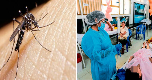 El hospital Sergio Bernales ya no se da abasto para atender a pacientes con dengue. Foto: La República