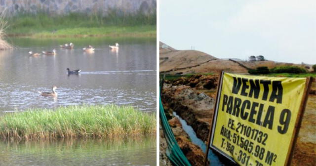 Los proyectos urbanísticos ponen en riesgo las zonas urbanas del distrito, señala Mary Ann. Foto: Facebook/SPDA Actualidad Ambiental/composición LR