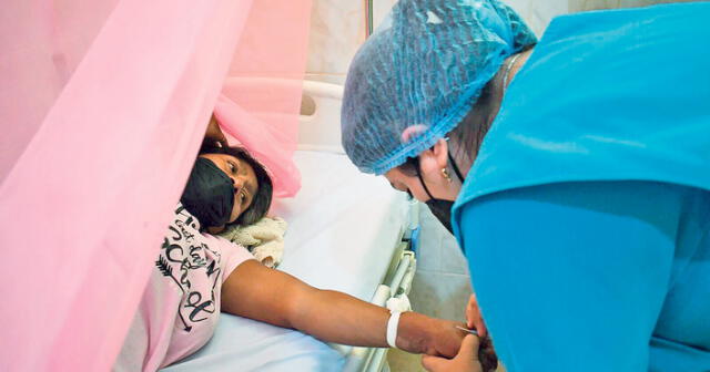 Riesgo. Casos de dengue bordean los 90.000 a nivel nacional. Muchos llegan graves a hospitales. Foto: difusión