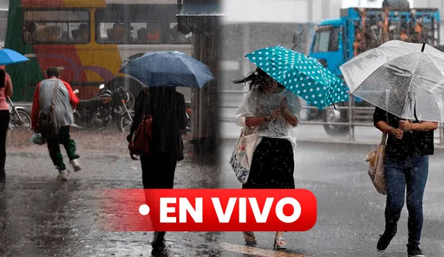 Lluvias en Venezuela: conoce el reporte meteorológico del Inameh. Foto: composición LR/El Diario/Efecto Cocuyo