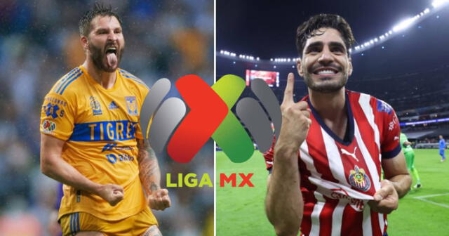 No que los más grandes? Se confirma que América no tiene más títulos de  Liga Mx que Chivas