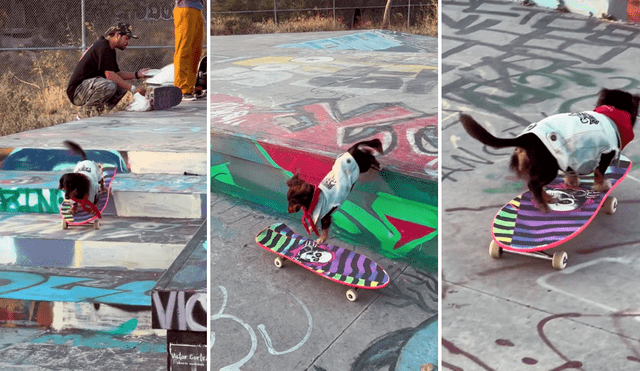 TikTok viral | Perrito skater sorprende en redes tras realizar curiosos