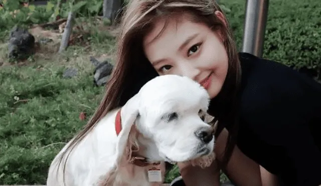 Kai, el primer perro de Jennie de BLACKPINK, tenía entre 12 a 13 años. Foto: composición LR/YG