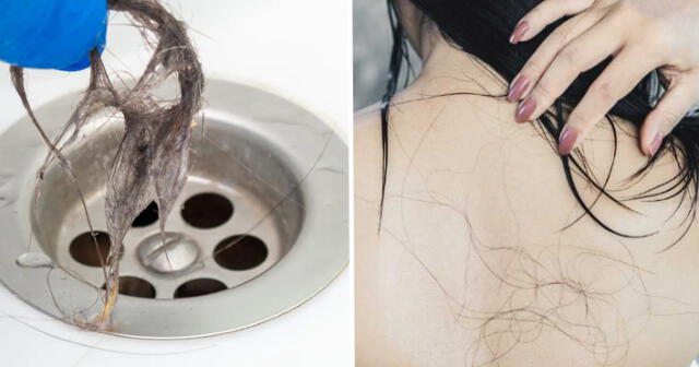 Evita que tu ducha se tape con cabellos enredados. Foto: composición LR/Antena 3