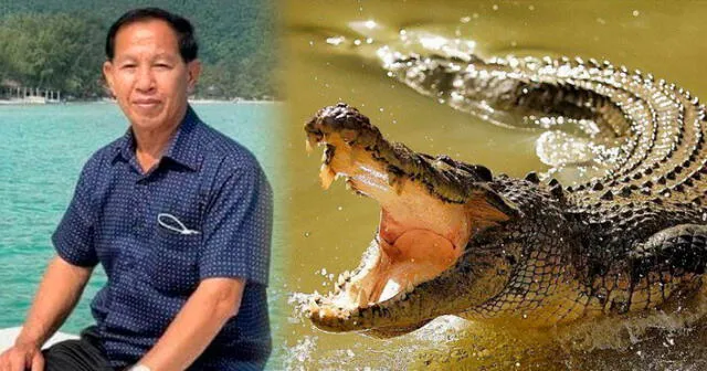 Descubre AQUÍ cómo sucedió la trágica muerte de Luan Nam por los reptiles. Foto: composición LR/The Telegraph/El Universo