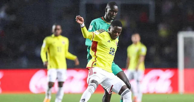 Colombia vs. Senegal jugadron por la fecha 3 del grupo C. Foto: Selección Colombia