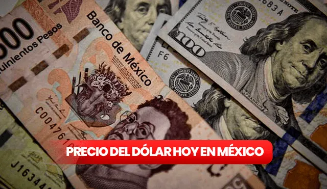 Precio del dólar en México para hoy, martes 30 de mayo. Foto: composición LR/AFP
