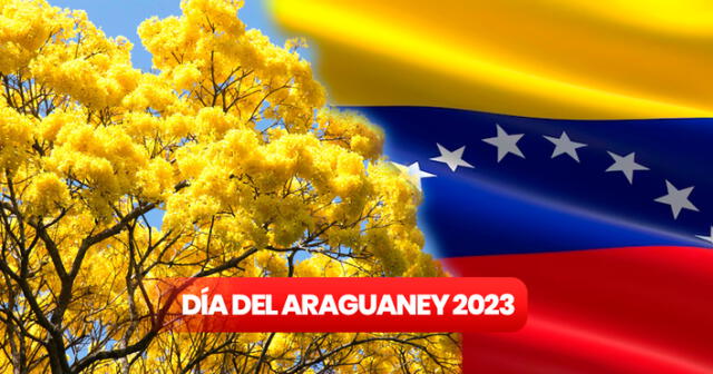 ¿Por qué el 29 de mayo es el Día del Araguaney? AQUÍ te lo contamos. Foto: composición LR/ Freepik/ Venezuela Verde