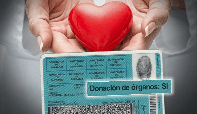 La Ley promueve la donación de órganos de donantes cadavéricos. Foto: archivo LR