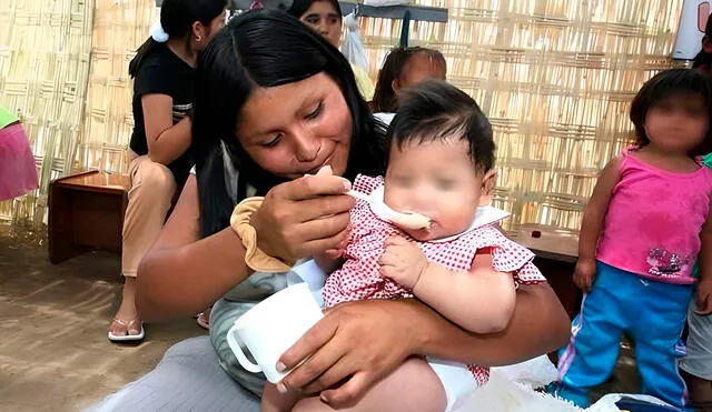 La lactancia materna hasta los 6 meses debe ser exclusiva para garantizar una óptima alimentación del niño, señalan los especialistas. Foto: difusión/Andina