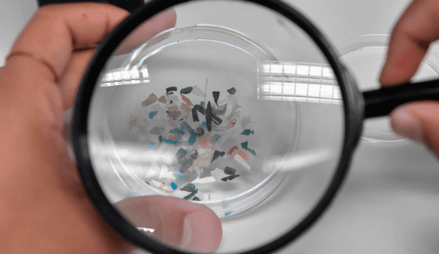 Los microplásticos son residuos que miden entre 0,1 y 5.000 micras, lo cual los hace visibles al ojo humano. Foto: AFP