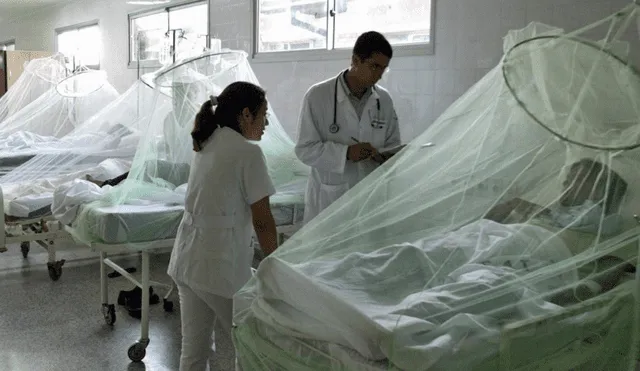 Esperan reducir el número de muertes por dengue. Foto: Andina/Referencial