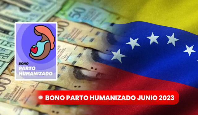 Conoce AQUÍ el incremento en su pago que tuvo el Bono Parto Humanizado de Junio 2023. Foto: composición LR/Freepik/EFE/Sistema Patria