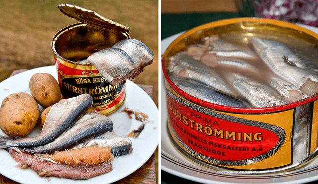 El 'Surströmming' es parte de la gastronomía sueca. Foto: composición LR / Embajada de Suecia en México - Video: El Hormiguero