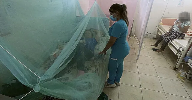 En ascenso. Casos de dengue en Piura siguen en alza, pacientes graves no encuentran camas. Foto: difusión