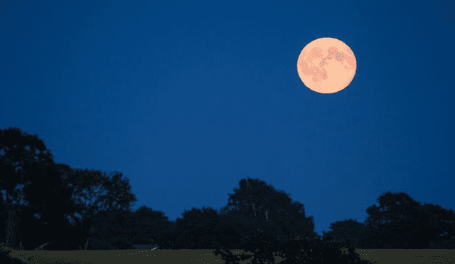La luna de fresa es el nombre que recibe toda luna llena de junio. Foto: Twitter / @USDA