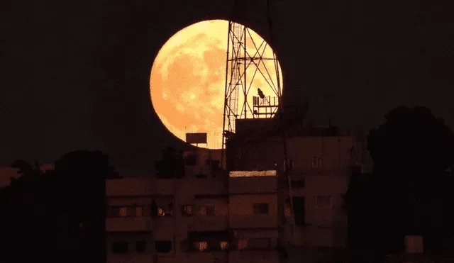 La luna llena puede verse de color amarillo o cobrizo cuando está cerca del horizonte. Foto: AFP