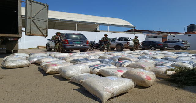 En varios caseríos del distrito de Cochorcos se incautó marihuana. Sergio Verde- URPI/LR