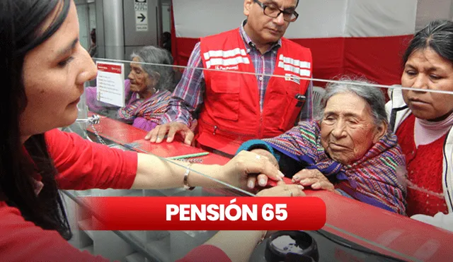 Conoce vía online su cumples con los requisitos para ser parte del Programa Nacional de Asistencia Solidaria Pensión 65. Foto: composición/Andina