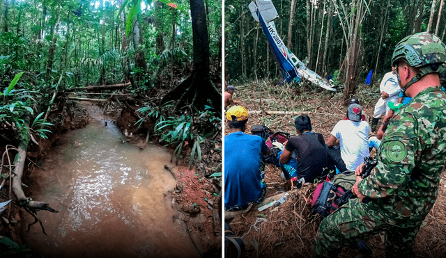 Los menores están perdidos desde el 1 de mayo, cuando se accidentó el avión Cessna 206 en el que viajaban. Foto: composición LR/Ejército de Colombia