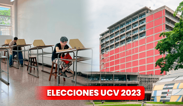 Revisa AQUÍ las últimas incidencias de las Elecciones UCV 2023. Foto: composición LR/Tal Cual/Noticia al Día.