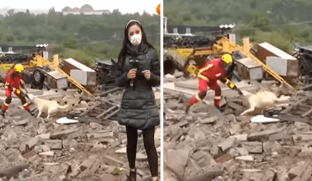 Las imágenes sacaron más de una sonrisa en redes. Foto: composición LR/TikTok/@Josemedinauio