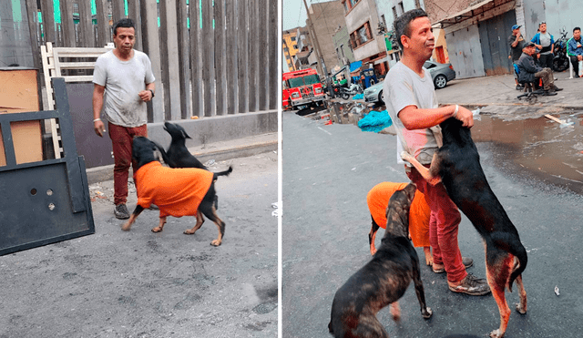 La esposa del hombre se encargaba de rescatar a los animales que vivían en las calles . Foto:composición LR / María Pía Ponce  - La República