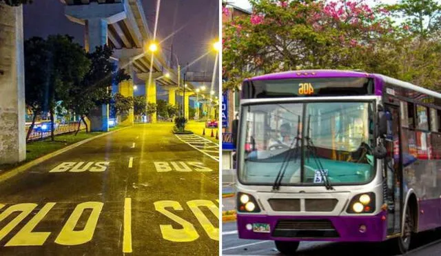 Los carriles exclusivos “Solo bus” se encuentran a lo largo de los 7.2 km de las vías principales de SJL. Foto: ATU/difusión/composición LR