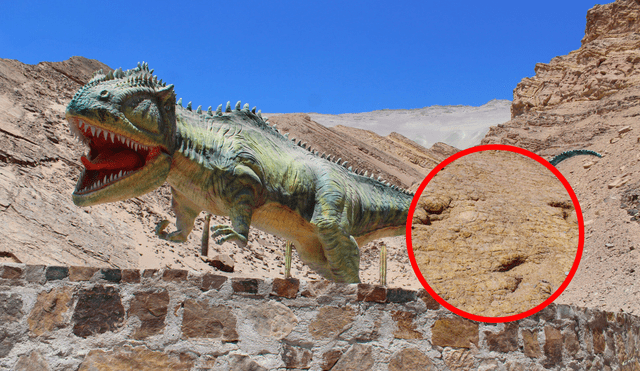 Además de huellas de dinosaurio fosilizadas, se pueden encontrar fósiles de peces y un cocodrilo. Foto: composición LR/Promarequipa-Promoción del Turismo y Marca Arequipa/Facebook - Video: La República