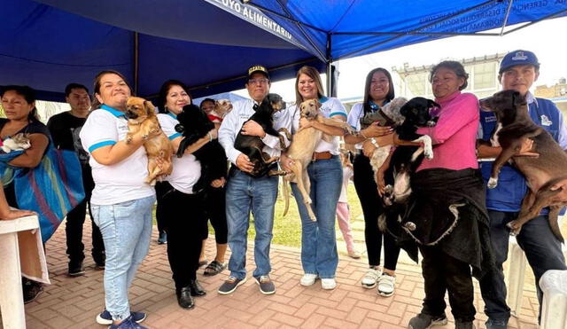 Los 27 perritos fueron rescatados por el ciudadano colombiano Sebastian Arias. Foto: Andina