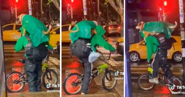 El can sabía cómo subir a la espalda de su amo y sujetarse para no caer de la bicicleta. Foto: composición LR/TikTok/@petking618