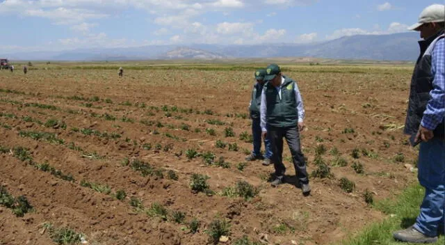 Senamhi pronostica que nuevamente habrá ausencia de lluvias en Puno. Foto: La República