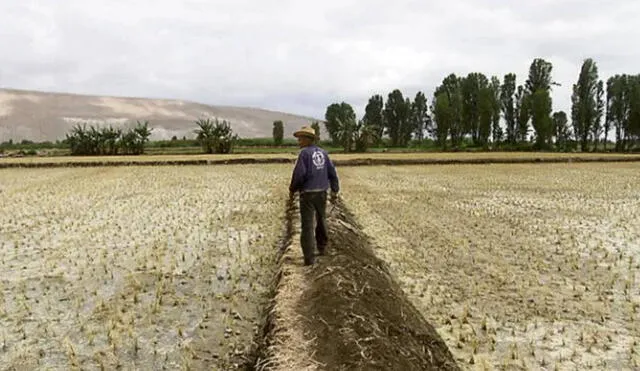 Agricultores solicitan piden racionalizar consumo de agua. Foto: archivo LR