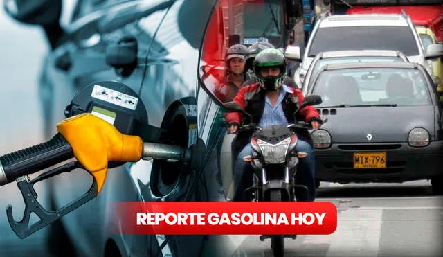 Conoce AQUÍ en qué lugares puedes abastecerte de gasolina, según tu tipo vehículo. Foto: composición LR/ MLC/ Semana