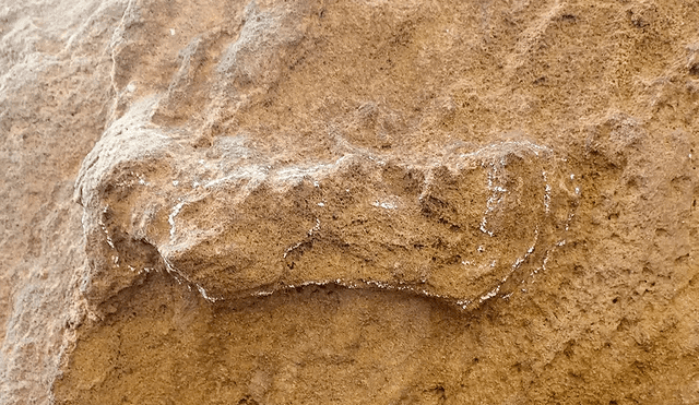 La huella data de 153.000 años de antiguedad. Foto: Charles Helm