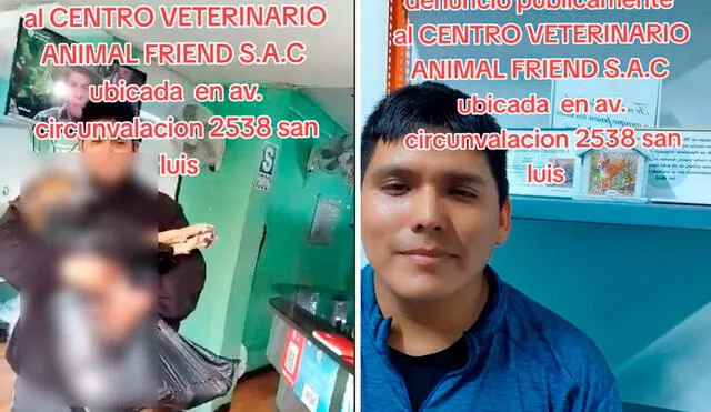 Propietario de Centro Veterinario Animal Friend S.A.C no solo estaría al frente de este negocio, sino también de otros tres establecimientos veterinarios. Foto: TikTok