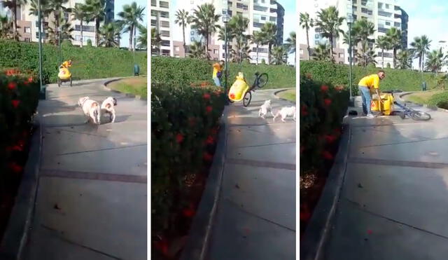 Unos señores que pasaban cerca le recriminaron el accionar del heladero. Foto: composición LR / capturas de TikTok / @Gleymar