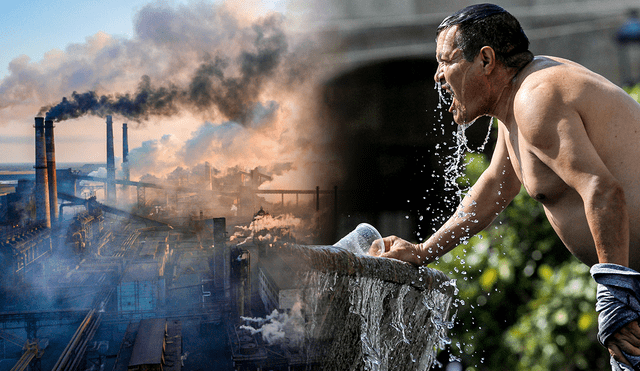 Extremas temperaturas son uno de los efectos del cambio climático. Fenómeno afecta ecosistemas helados. Foto: composición de Jazmín Ceras/La República/AFP