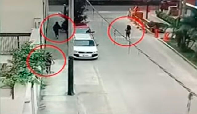 Tres mujeres interceptaron a la víctima para robarle a plena luz del día. Foto: Panamericana| Video: Panamericana