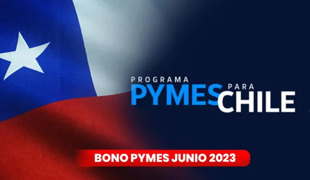 El aumento del sueldo en Chile ha modificado el Bono Pymes para este 2023. Foto: composición LR/Freepik/Pymes